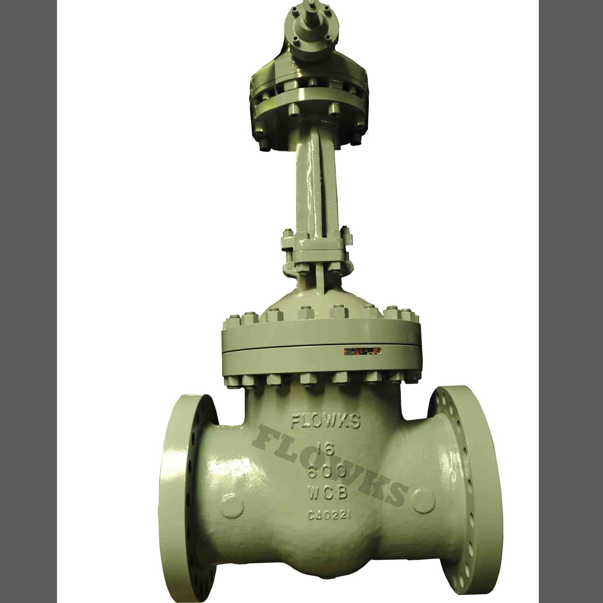 16" 600Lb Gate Valve