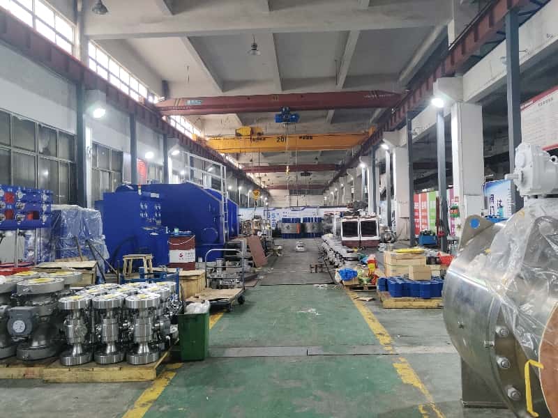 Check Valves
